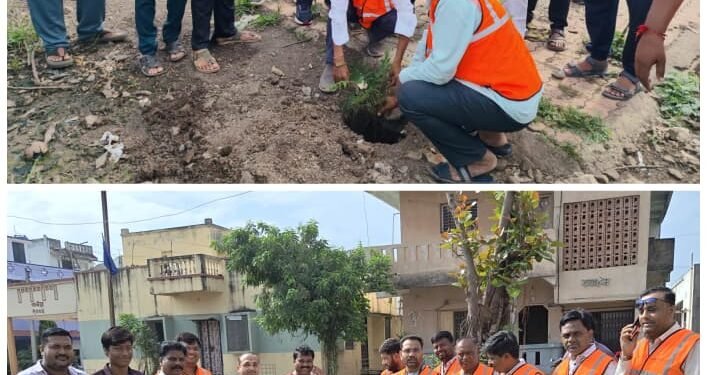 वृक्षारोपण व संवर्धन संकल्प ग्रुप, शहादा तर्फे कुकडेल परिसरात वृक्षारोपण संपन्न..