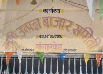 कापूस उत्पादक शेतकऱ्यांनी एमएसपी अंतर्गत कापूस विक्रीसाठी ३१ ऑक्टोबरपर्यंत नोंदणी करावी