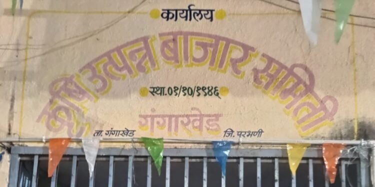 कापूस उत्पादक शेतकऱ्यांनी एमएसपी अंतर्गत कापूस विक्रीसाठी ३१ ऑक्टोबरपर्यंत नोंदणी करावी