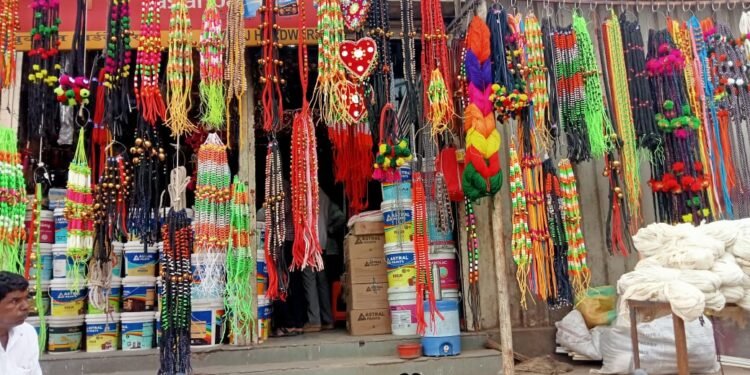 पोळा सणावर दुष्काळाचे सावट; बळीराजाची चिंता वाढली!