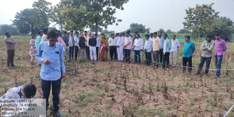महातपुरी परिसरात जिल्हाधिकाऱ्यांकडून दुष्काळी परिस्थितीची पाहणी