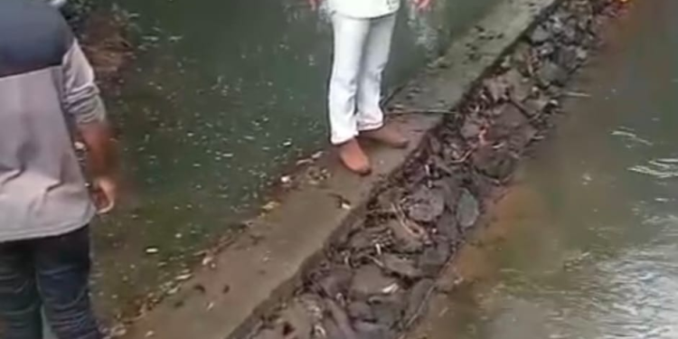 पिकुळे बंधाऱ्यांच्या कामाची चौकशी करण्याची मागणी; कारवाई न झाल्यास २३ ऑक्टोबरपासून उपोषणाचा इशारा