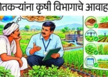 पाहून रब्बी पिकाचे नियोजन करा तालुका कृषी अधिकारी मनोज सोनवणे यांचे शेतकऱ्यांना आव्हान