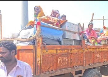 पाण्याअभावी शेती उजाड; दसऱ्याआधीच सुरडी गावातील ऊसतोड मजूर कारखान्याच्या वाटेवर!