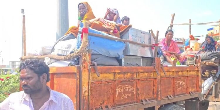 पाण्याअभावी शेती उजाड; दसऱ्याआधीच सुरडी गावातील ऊसतोड मजूर कारखान्याच्या वाटेवर!