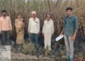 पिंपळगाव क येथील 2 एकर ऊस जळून खाक