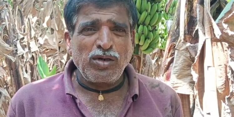 शिरोळ तालुक्यातील औरवाड (अमरापूर)गावचे प्रगतशील शेतकरी लहू मंगसुळे यांची व्यथा……….