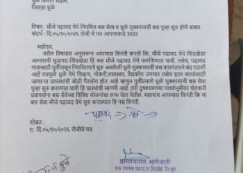 पढावद बससेवेसाठी सामाजिक कार्यकर्ते राहुल ठाकरे यांचा सातत्यपूर्ण पाठपुरावा; ग्रामपंचायतीमार्फत दुसरे निवेदन सादर