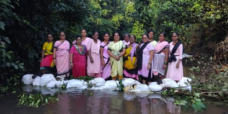 तेंडोलीत पाणीटंचाईवर मात करण्यासाठी अंगणवाडी सेविका व मदतनीसांचे श्रमदान; वनराई बंधारा केला उभार