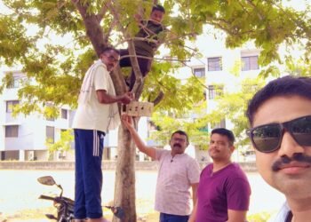 वाशिम पोलिस वसाहतीत निस्वार्थ सेवा ग्रुपचा पक्ष्यांसाठी पुढाकार; अन्न, पाणी आणि घरट्यांची व्यवस्था करून दिला मानवतेचा संदेश