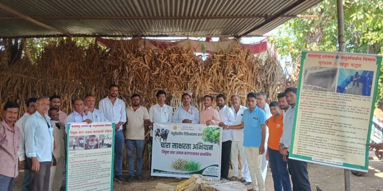 बोदर्डे येथे ‘चारा साक्षरता व संवर्धन अभियान’ उत्साहात संपन्न; युरिया प्रक्रियेचे प्रात्यक्षिक व दूध उत्पादनातील समस्यांवर मार्गदर्शन! सारथी महाराष्ट्राचा तालुका प्रतिनिधी विलास पाटील..