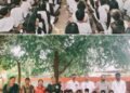 शौनक राहुल लिमकर याच्या वाढदिवसानिमित्त सारोळा शाळेला ताशाची भेट…!