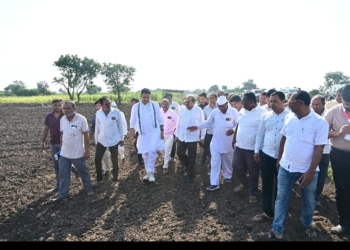दुष्काळसदृश परिस्थितीची पाहणी; पालकमंत्री विखे पाटील शेतकऱ्यांच्या बांधावर