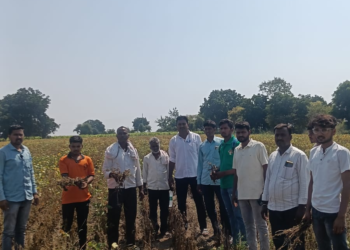 झोडगाव येथे सोयाबीन-कापूस नुकसानीची पाहणी; १०० टक्के नुकसानभरपाईची मागणी