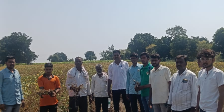 झोडगाव येथे सोयाबीन-कापूस नुकसानीची पाहणी; १०० टक्के नुकसानभरपाईची मागणी