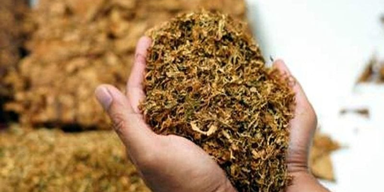 एटापल्ली पोलिसांची कारवाई; १४ लाख २५ हजारांचा मुद्देमाल जप्त