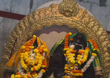 दिंडेवाडी पठारावर ‘आई भागूबाई’च्या नावानं चांगभलं!