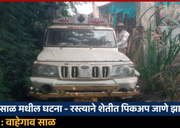 वाहेगाव साळ येथे शेतरस्त्यावरील झाडे-अगळ्यांमुळे पिकअपचा टायर फुटला