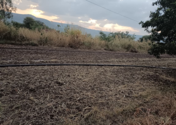 जावली तालुक्यात दुष्काळाच्या तीव्र झळा; पाणीटंचाईमुळे शेतकरी चिंतेत