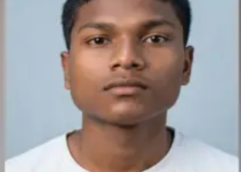 वाघाच्या हल्ल्यात २६ वर्षीय शेतकऱ्याचा मृत्यू; गडचिरोलीत आठ दिवसांत दुसरा बळी