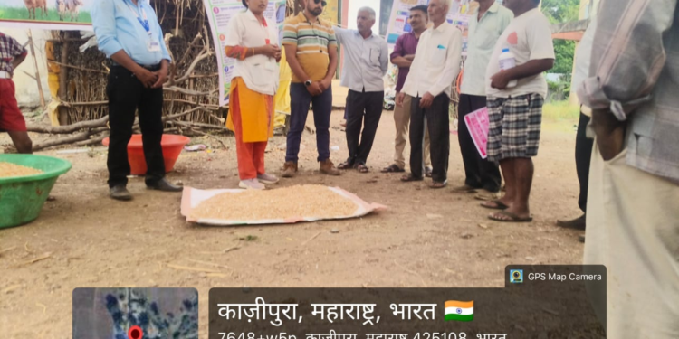काझीपुरा येथे पशुवैद्यकीय शिबिरासह कडबा-कुट्टीवर युरिया प्रक्रिया प्रात्यक्षिक