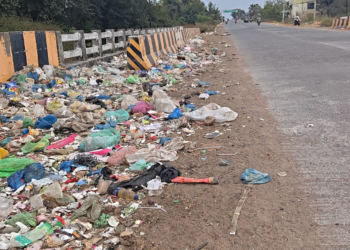 गोकुंदा–कोठारीदरम्यान महामार्गालगत कचऱ्याचे डंपिंग; दुर्गंधीमुळे नागरिक त्रस्त!