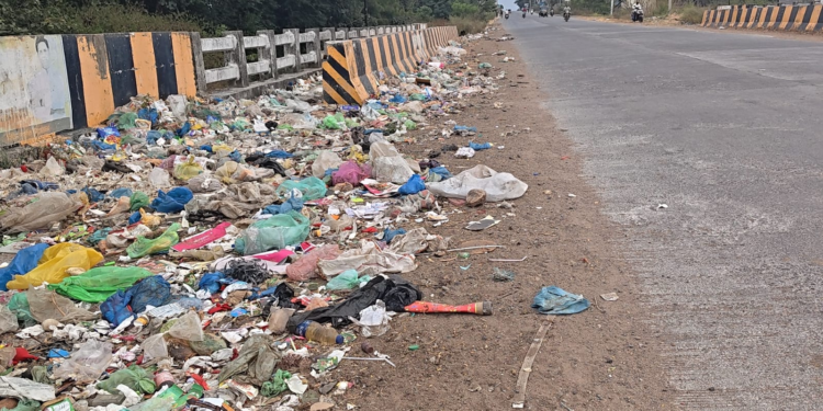 गोकुंदा–कोठारीदरम्यान महामार्गालगत कचऱ्याचे डंपिंग; दुर्गंधीमुळे नागरिक त्रस्त!