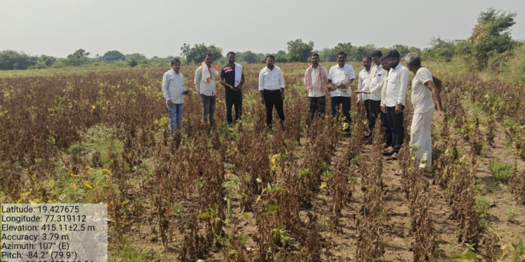 रामेश्वर येथे दुष्काळी परिस्थितीत पिकांचे पंचनामे सुरू; शंभर टक्के नुकसान झाल्याचा शेतकऱ्यांचा दावा