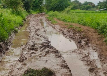 वांजुळपोईतील अमळनेर बंधारा रस्त्याची दहा वर्षांपासून दुरवस्था