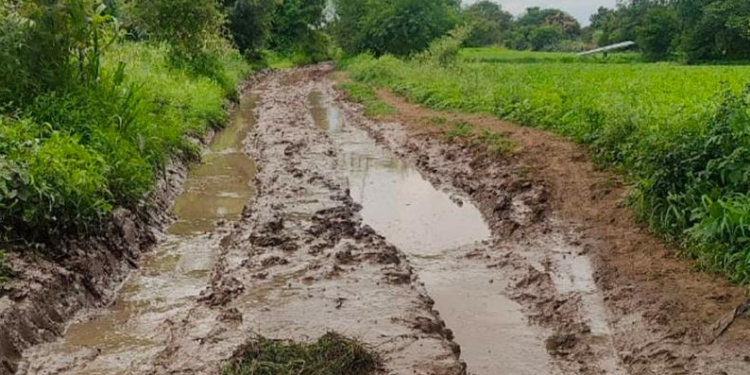 वांजुळपोईतील अमळनेर बंधारा रस्त्याची दहा वर्षांपासून दुरवस्था