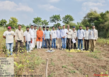 मुरुडमध्ये पीक कापणी प्रयोग; अर्ध्या गुंठ्यात केवळ २१४ ग्रॅम सोयाबीन