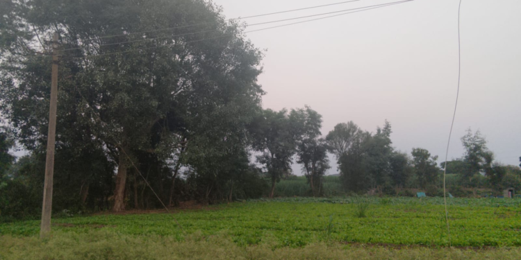 खुटवड डीपीवरील वीजतार तुटल्याने वीजपुरवठा खंडित